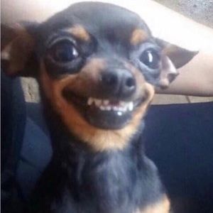 Meet your Posher, Sandra